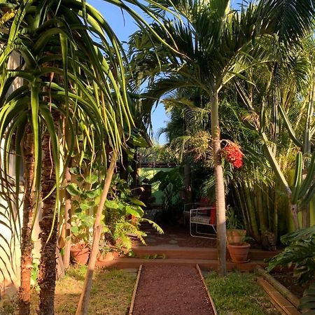 Ferienwohnung Le Dodo Sale Étang-Salé les Bains Exterior foto