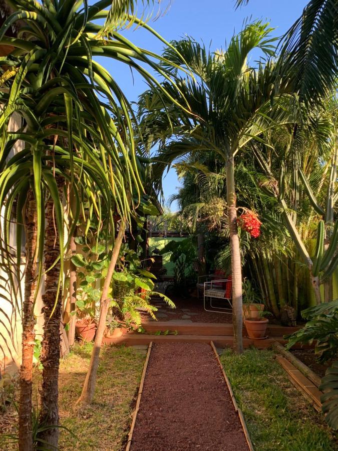 Ferienwohnung Le Dodo Sale Étang-Salé les Bains Exterior foto