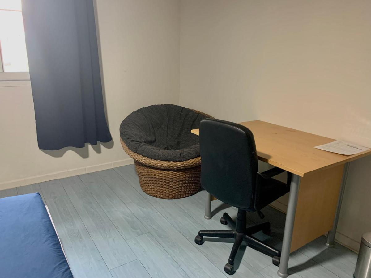 Ferienwohnung Le Dodo Sale Étang-Salé les Bains Exterior foto